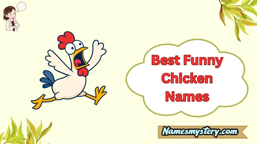 Best Funny Chicken Names