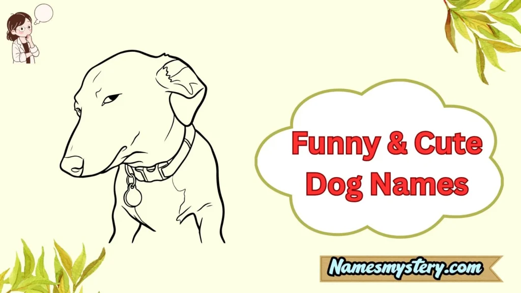 Funny & Cute Dog Names
