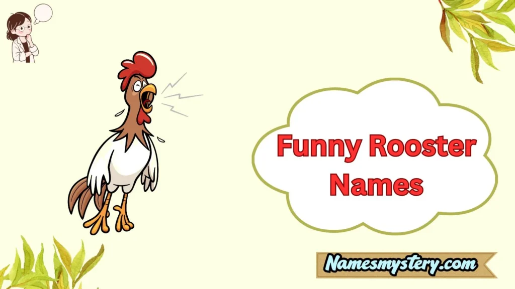 Funny Rooster Names