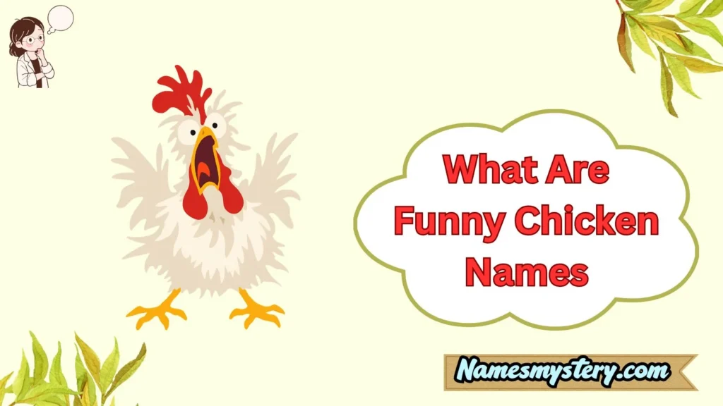 What Are Funny Chicken Names