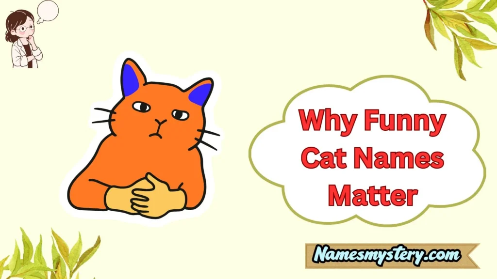 Why Funny Cat Names Matter